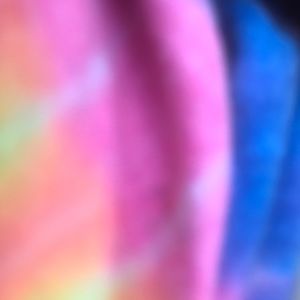 Meet your Posher, Gracen